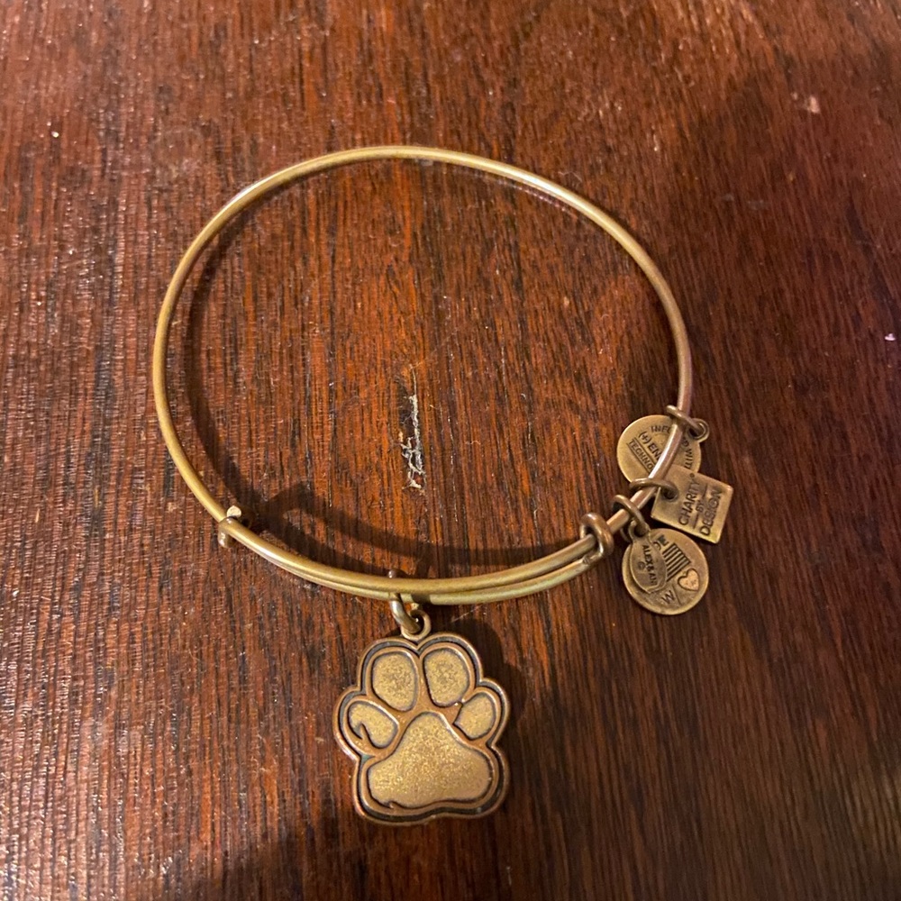 Paw print Alex and Ani Bracelet